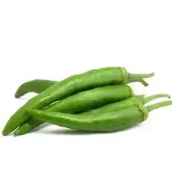 Chilli Green Pepper