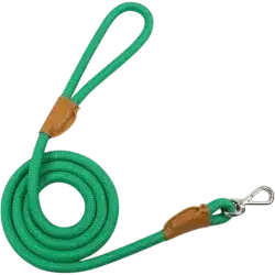 Leash 140 CM