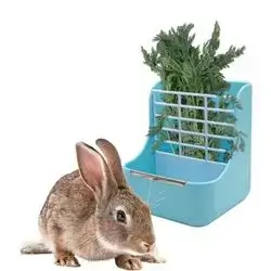 Rabbit feeder