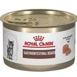 Royal Canin gastro intestinal kitten canned