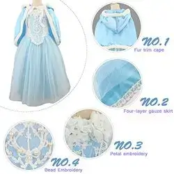 Frozen costume