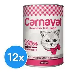 Carnaval Chicken Kitten 12x