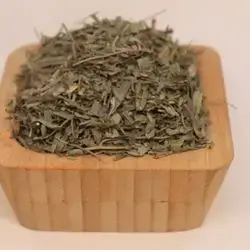 Tarragon