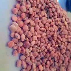 Kurdish Sumac