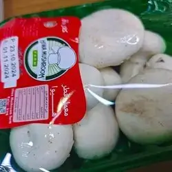 Kalar Mushroom
