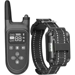 Dog Training Collar