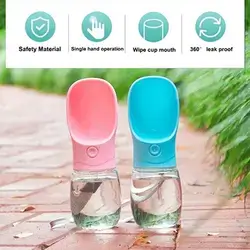 Water Bottle
