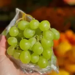 Grape