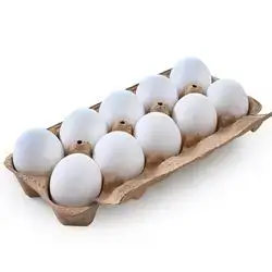 15 Eggs