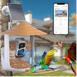 Bird Feeder with Camera