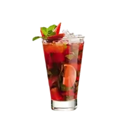 Berry Mojito