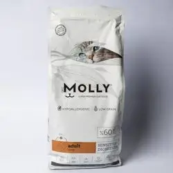 Molly Adult Lamb