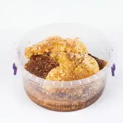 Mountain Comb Honey (250g)