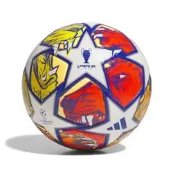 Football Champions League Final 2024