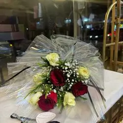 Red And White Rose