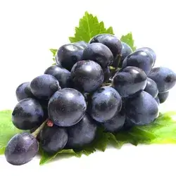 French Black Iraqi Grape