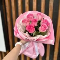 Pink Alester