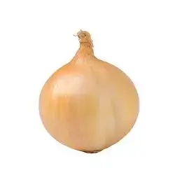 بصل دولما محلي، أبيض وبني