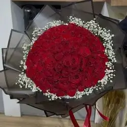 ١٠٠ ڕۆزی سوور