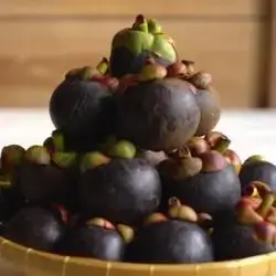 Mangosteen Box