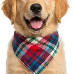 Pet scarf
