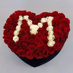 100 Red Roses