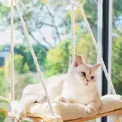 Cat Window Perch