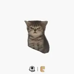 152