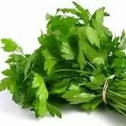 Parsley
