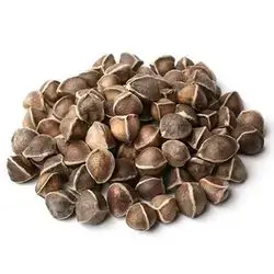 Moringa