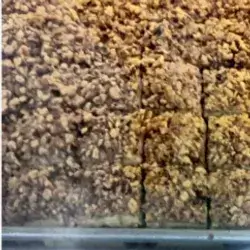 Normal Baklava -One Tray