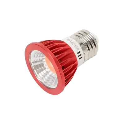 E893 Reptile Lamp