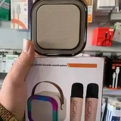Speaker & Mic