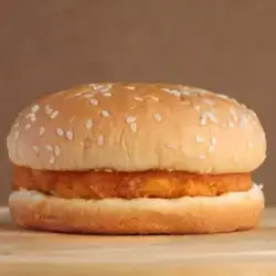 Plain Chicken Burger