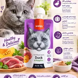 Wanpy Duck & Pumpkin/90g