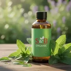 Mint Oil ( highest quality)
