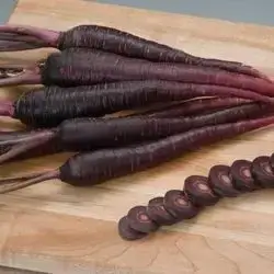 Black Carrot