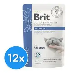 Brit Recovery with Salmon x12