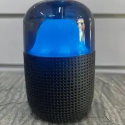 Speaker