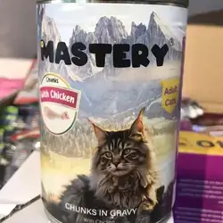 master
