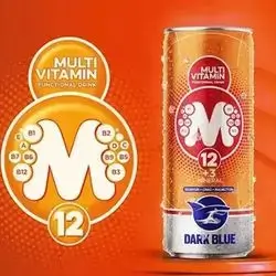 DARK BLUE MULTI VITAMIN DRINK 250ML