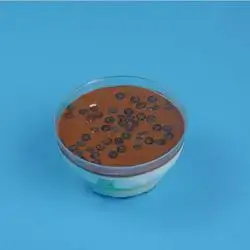 Mudalaa Nutella