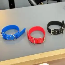 Dog Collar