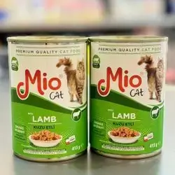 Adult Lamb 2Pcs