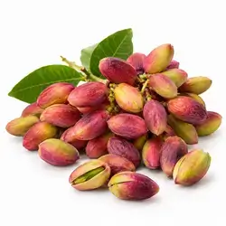 Fresh Pistachio
