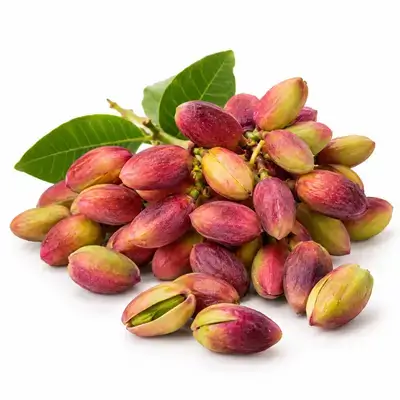 Fresh Pistachio