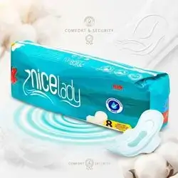 Nice Lady Compact Sanitary 10 Pads