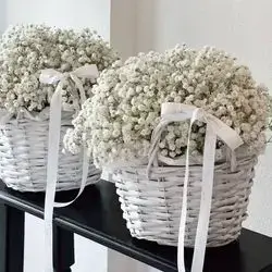 Basket Of Jbsofeilia