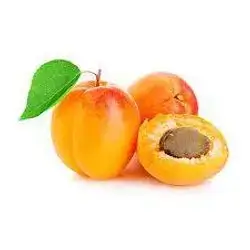 Apricot