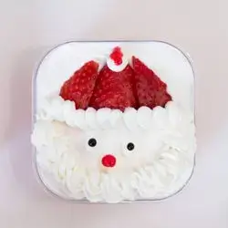 Trelice Strawberry Santa